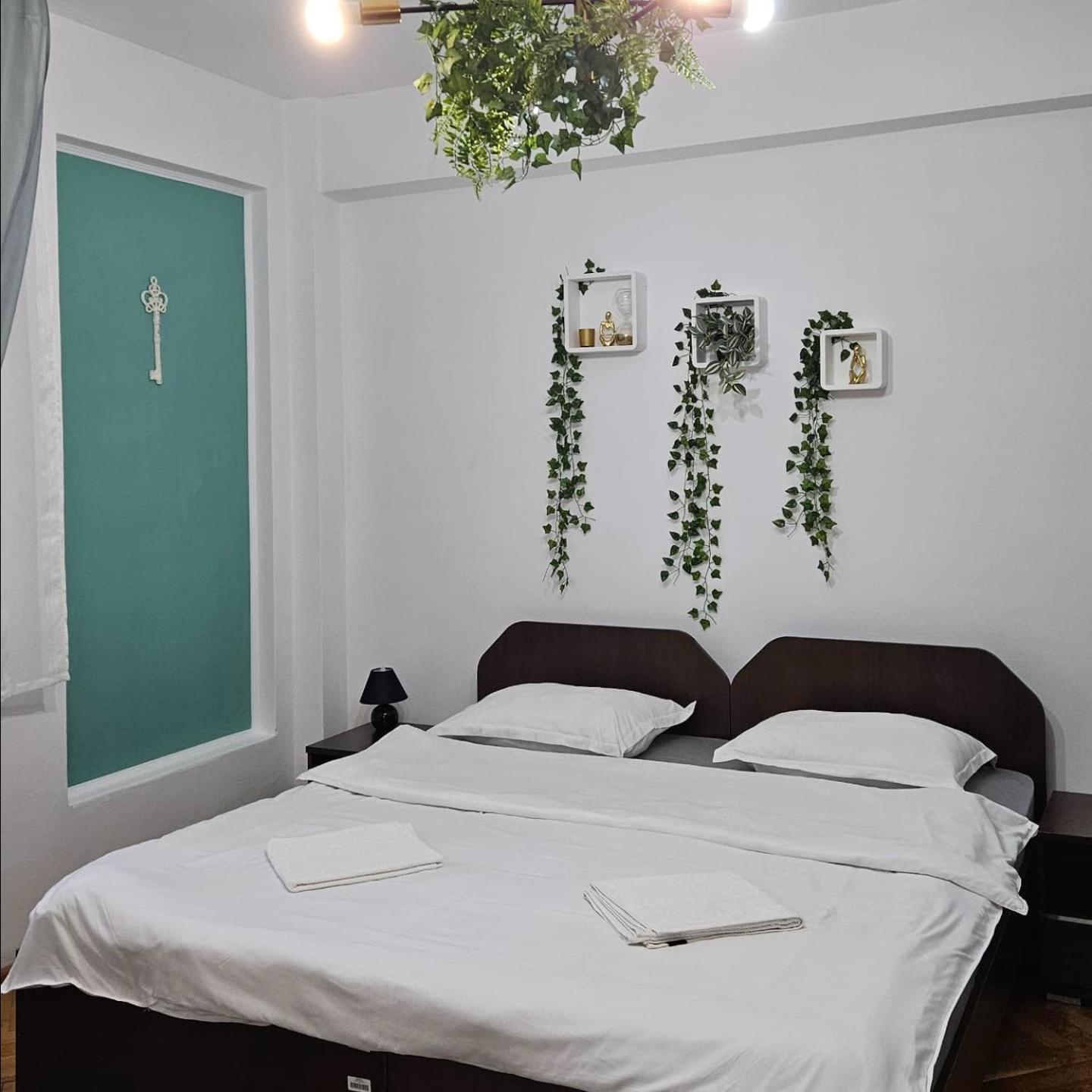 Apartment Zarnesti City Centre Vmp Free Parking Eksteriør billede